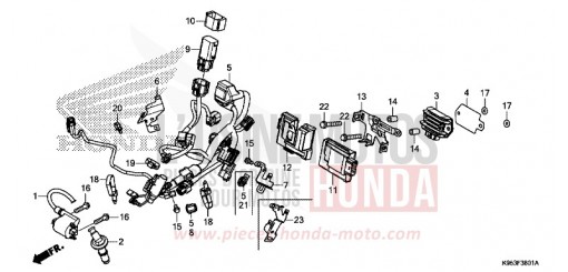 FAISCEAU DES FILS (CRF250RK,L,M/CRF250RXK,L) CRF250RK de 2019